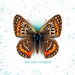 搡老岳熟女岩崎千鹤
