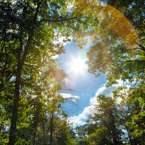 搡老岳熟女岩崎千鹤
